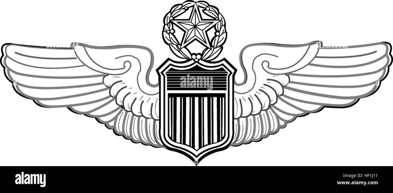 COMMAND PILOT WINGS Stock Photo Alamy
