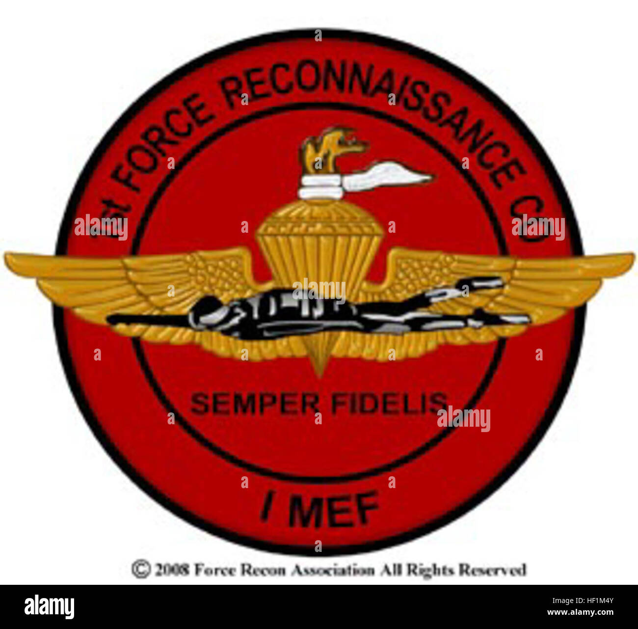 First Force The 1st Force Reconnaissance Company is present for a military ...