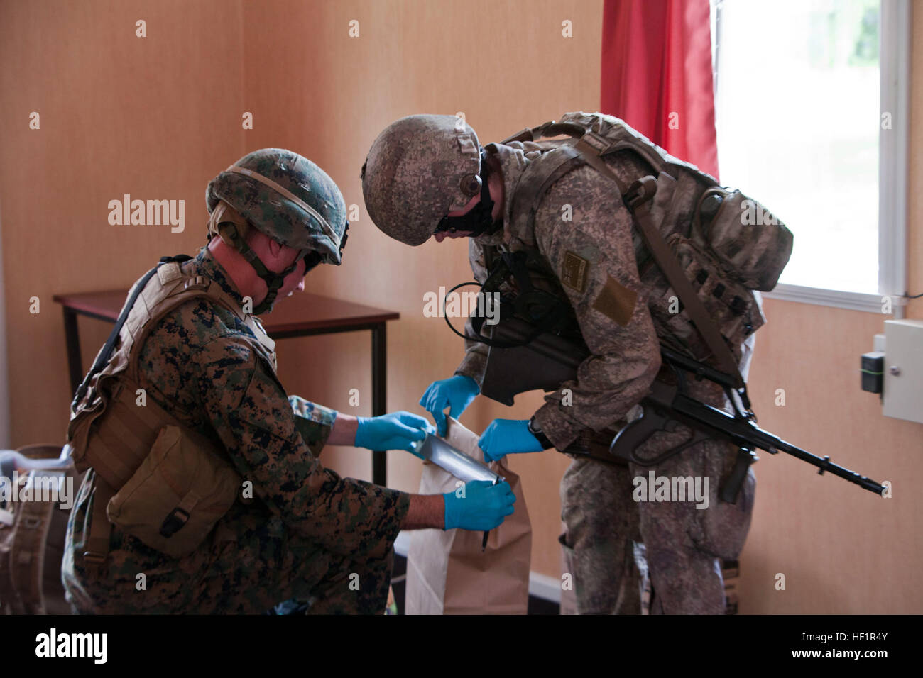 Lance Cpl. Clifford Taylor (right), military policeman with 1st New Zealand Military Police Company, from Wellington, New Zealand, and Cpl. Israel Ponce, military policeman with 1st Law Enforcement Battalion, from Long Beach, Calif., search a house for evidence during tactical site exploitation training in the initial stages of exercise Southern Katipo 2013 at Waiouru Military Camp, New Zealand, Nov. 8. SK13 strengthens military-to-military relationships and cooperation with partner nations and the New Zealand Defence Force. NZ, US military police train side-by-side during Southern Katipo 2013 Stock Photo