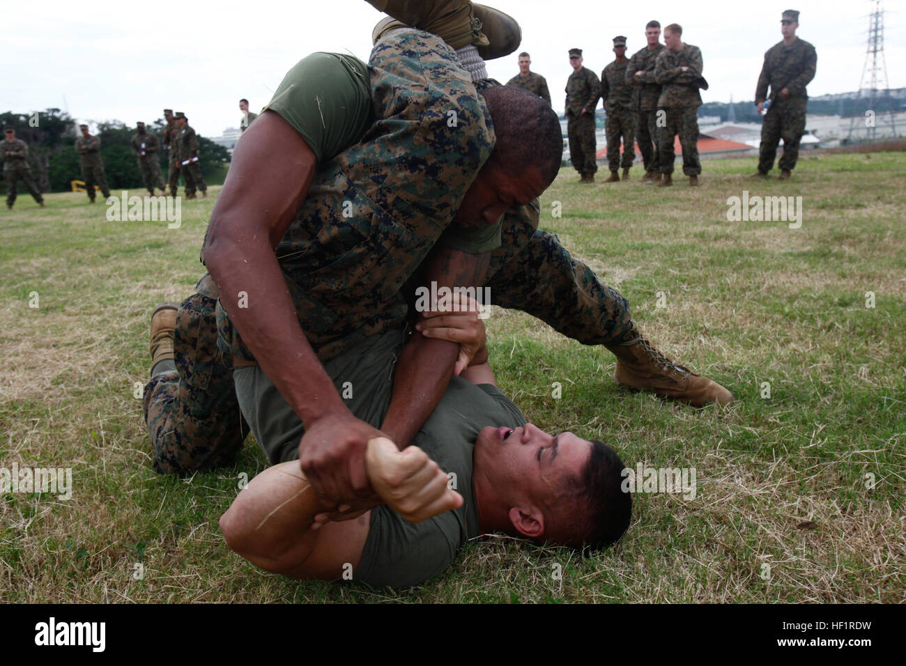 Seaman Kamaal R. David, top, grapples with Navy Lt. Joseph F. Labarbera Nov. 15 at Camp Foster during the 3rd Medical Battalion grappling tournament. The unit conducted the event to show how important fitness and MCMAP are in the Marine Corps. Labarbera is the administrations officer, S-1, administration, 3rd Med. Bn., 3rd Marine Logistics Group, III Marine Expeditionary Force. David is a hospital corpsman with the batalion. 3rd Med. Bn. hosts grappling tournament, tests MCMAP skills 131115-M-MB894-006 Stock Photo