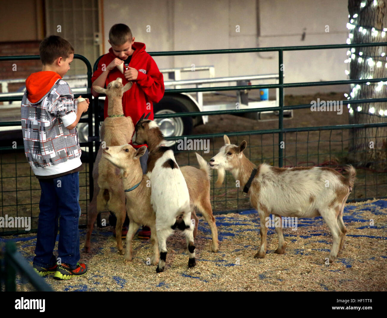 The petting zoo was a hit among the youngsters who were brave enough to