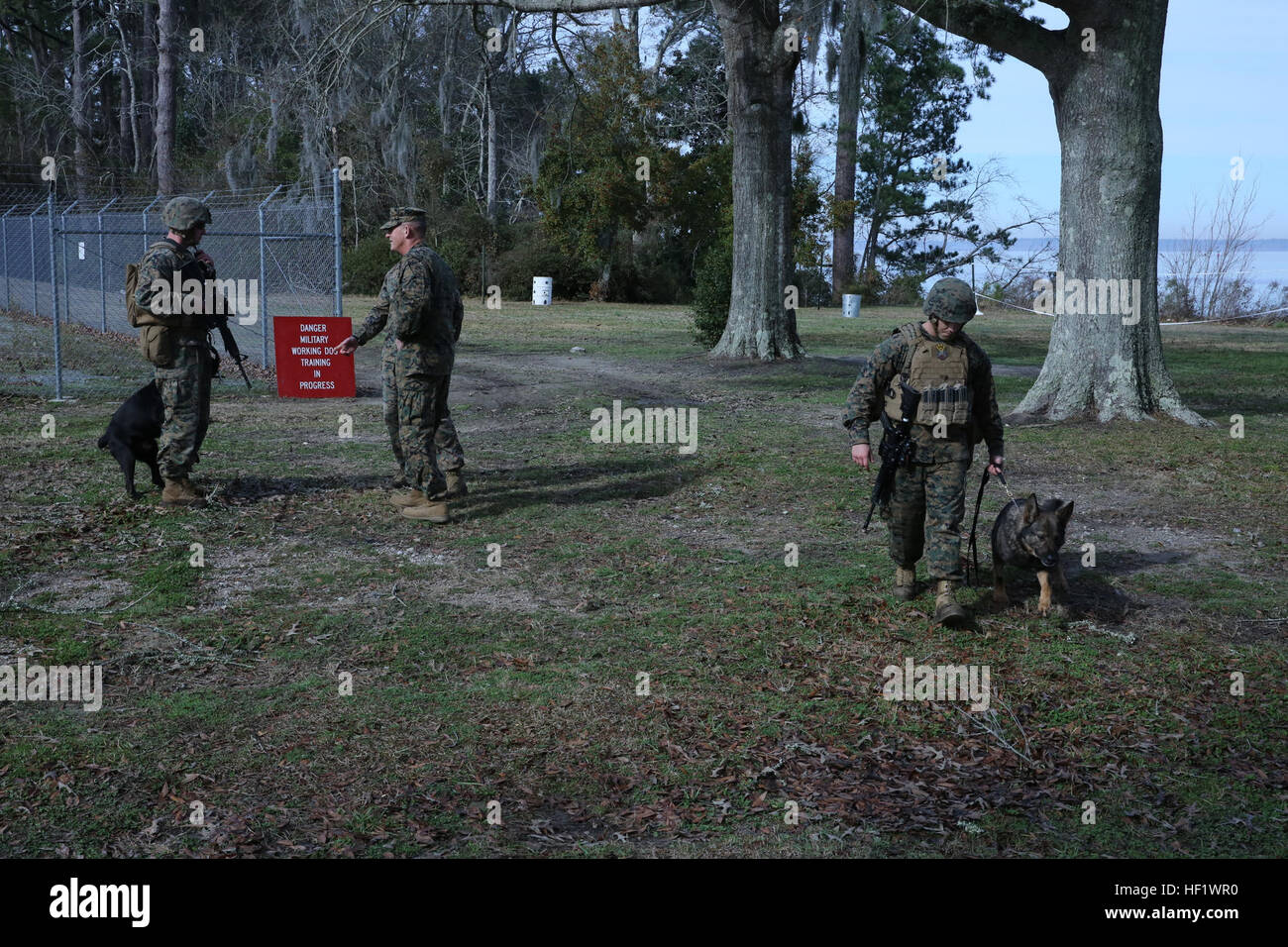 Marine Corps Base Camp Lejeune, N.C. Military Police from 2nd Law Enforcement Battalion