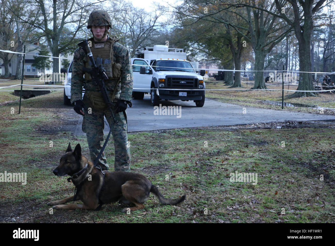 Police dogs chase hires stock photography and images Alamy