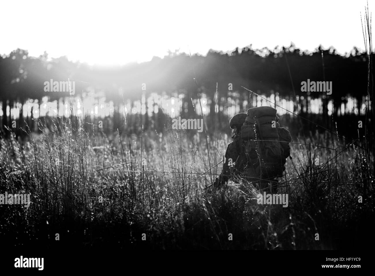 Corporal Conner Reese, a reconnaissance man with Force Company, 2nd Reconnaissance Battalion, 2nd Marine Division, heads toward the tree line during a field training exercise aboard Marine Corps Base Camp Lejeune, N.C., Feb. 18, 2014. Marines trekked more than five miles into the tree line with more than 100 pounds of gear. Operating E28098Swift, Silent, DeadlyE28099 140218-M-BW898-007 Stock Photo