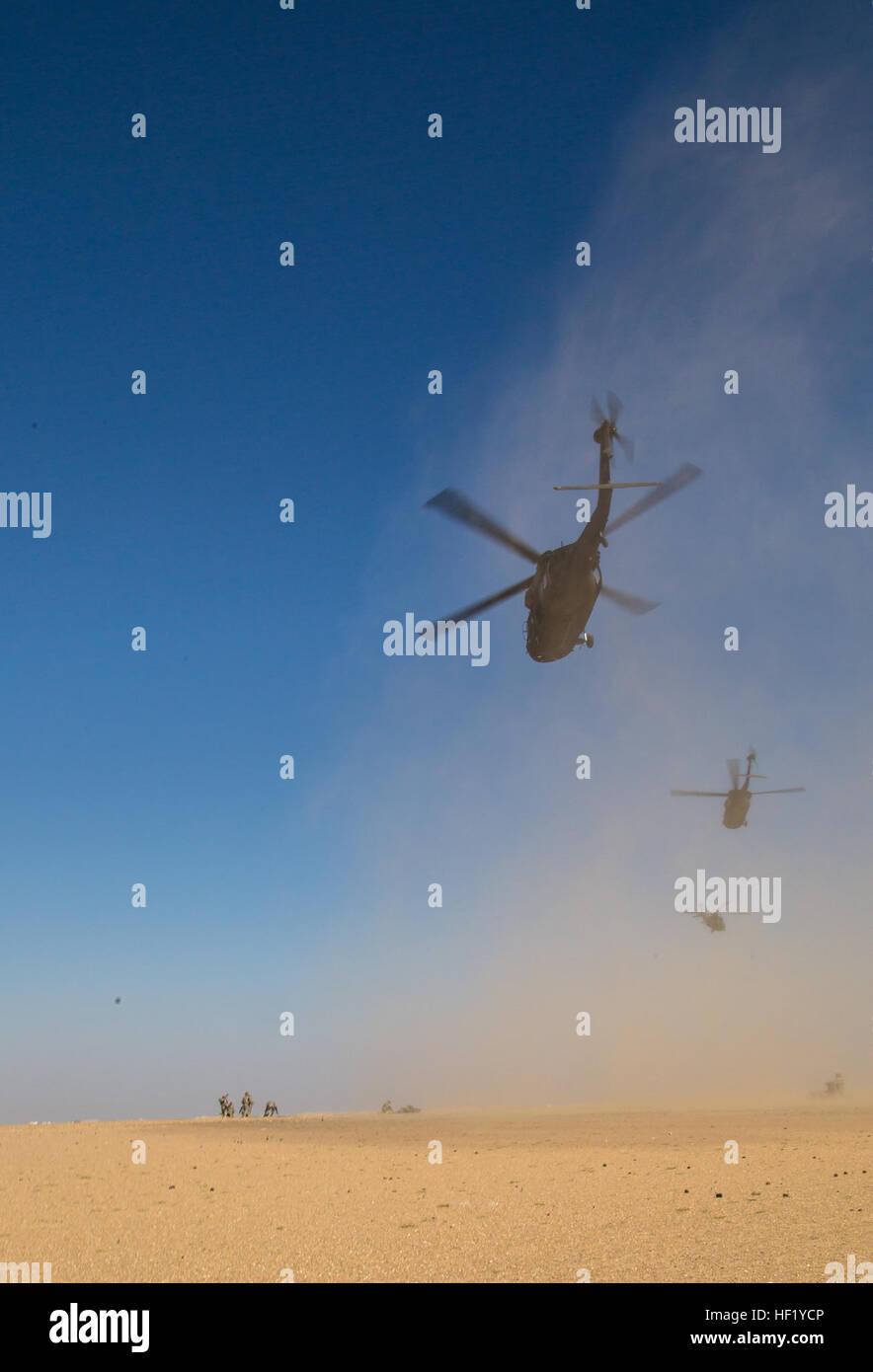 UH-60 Blackhawks operated by 3rd Battalion, 238th General Support Aviation Battalion, 42nd Combat Aviation Brigade, fly overhead after conducting an air assault with soldiers from 1st Battery, 67th Artillery Regiment, 2nd Brigade, 4th Infantry Division, as part of  Operation Intrepid Centurion on Feb. 19th, 2014, near Camp Buehring, Kuwait.   The 42nd CAB, New York Army National Guard, provided rotary winged aviation assets to Intrepid Centurion, an annual exercise between the U.S. and Kuwait militaries designed to strengthen their tactical proficiency and familiarity with each other's operati Stock Photo