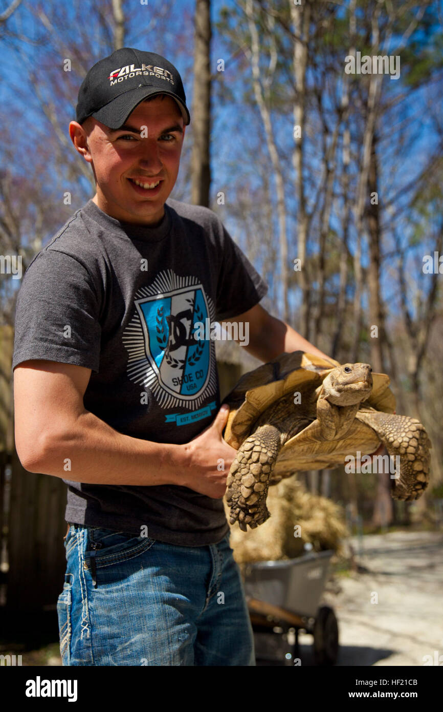 Lance Cpl. Ben Seeger, a Merrill, Wis., native and Marine with General Support Maintenance Company, 2nd Maintenance Battalion, 2nd Marine Logistics Group, shows off a desert tortoise at the Lynwood Park Zoo in Jacksonville, N.C., March 15, 2014. Thirty Marines with the company volunteered time during their weekend at several locations throughout the area as a way to give back to the community that surrounds Marine Corps Base Camp Lejeune, N.C. Our community, 2nd MLG Marines make time to give back 140315-M-ZB219-794 Stock Photo