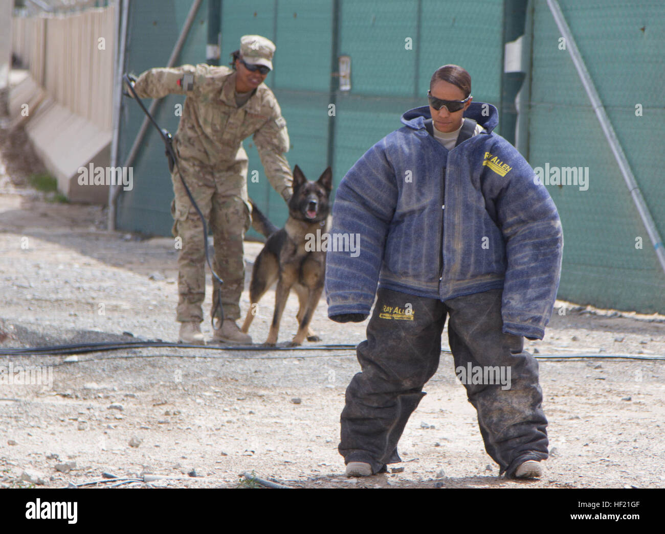 Sgt. 1st Class Sherise Stephens, Kandahar Field Detention Site noncommissioned officer in charge, 551st Military Police Company, prepares to be chased by a military working dog during a training exercise March 19, 2014, at Kandahar Airfield, Afghanistan. Service members stationed at KAF volunteered to participate in the training exercise where the dogs demonstrated a variety of techniques to halt their objective.  (U.S. Army photo by Cpl. Mariah Best) KAF service members help train military working dogs 140319-Z-TF878-855 Stock Photo