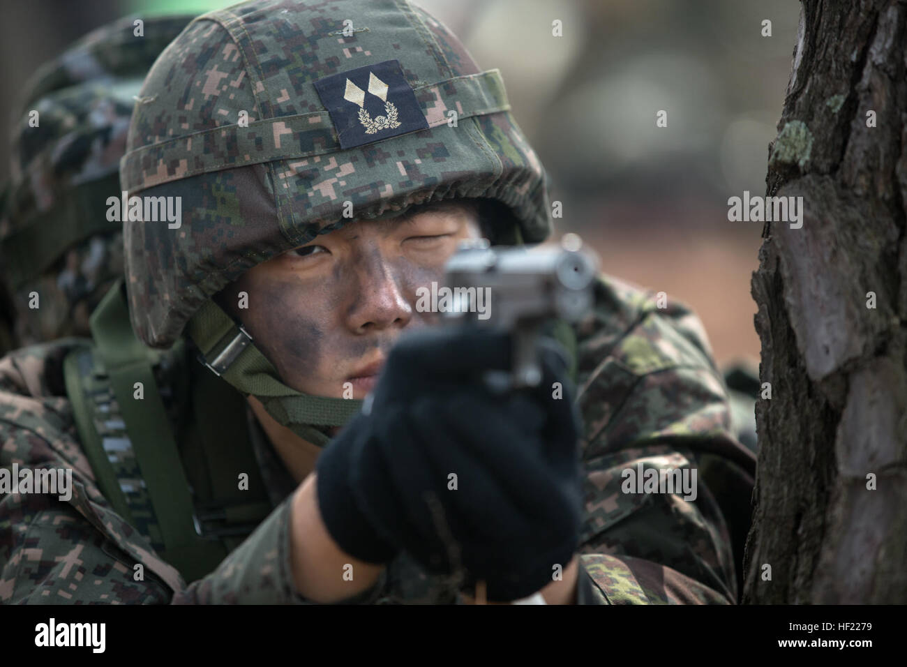 A South Korean marine with the 7th Marine Regiment participates in Ssang Yong 14, a part of Marine Expeditionary Force Exercise (MEFEX) 2014, in Pohang, South Korea, March 31, 2014. MEFEX was a U.S. Marine Corps Forces Pacific-sponsored series of exercises between the U.S. Navy and Marine Corps and South Korean forces. Among the exercises were the Korea Marine Exercise Program, Freedom Banner 14, Ssang Yong 14, Key Resolve 14 and the Combined Marine Component Command 14 command post exercise. (DoD photo by Cpl. Sara A. Medina, U.S. Marine Corps/Released) A South Korean marine with the 7th Mari Stock Photo