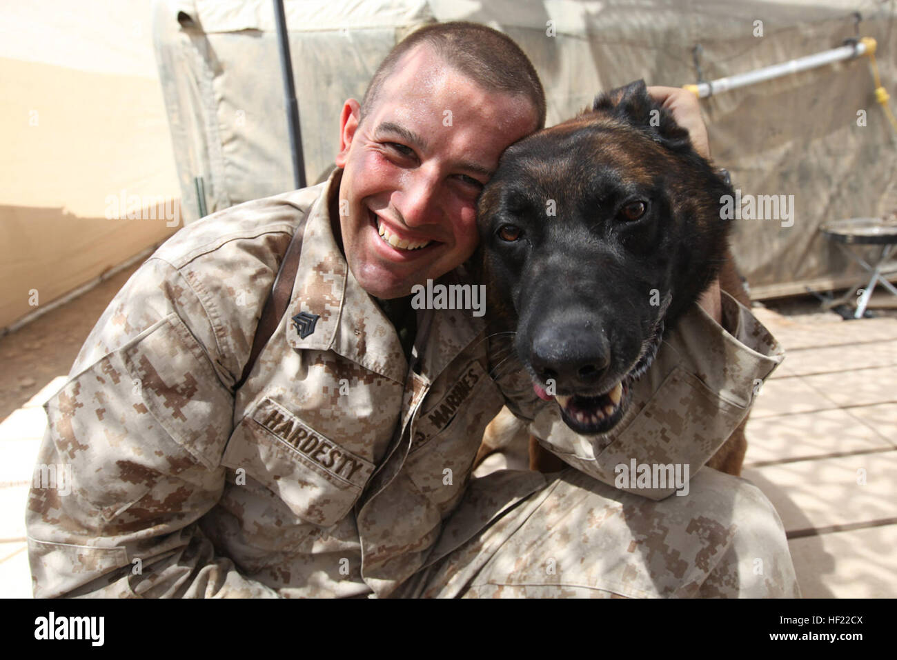 Sgt. Charles D. Hardesty, combat tracker dog handler, Military Police, I Marine Headquarters Group, I Marine Expeditionary Force (FWD), bonds with his dog, Robbie or also known as 'bear dog,' at Camp Leatherneck, Afghanistan. 'Robbie loves attention,' says Hardesty, 'He is a nutcase.' Hardesty and Robbie have been together for two years and both have a constant flow of energy. Hardesty,  from Smoot, Wyo., says his favorite memory with Robbie was while assigned to a compound in Helmand province.  Both, handler and his dog, huddled together in a corner to keep warm. Candid canine DVIDS279636 Stock Photo