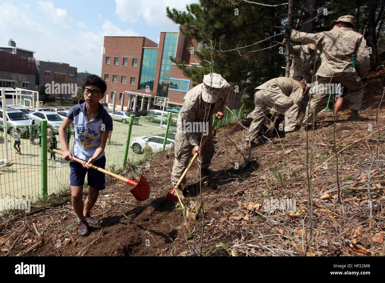 A boy from the Pohang Orphanage helps Marines of the 31st Marine Expeditionary Unit clear land for the planting of rose bushes during a visit here, April 5. The Pohang orphanage was founded after the Korean War in 1953 by a Navy chaplain from the 1st Marine Air Wing. In 1954, the Navy Seabees constructed the original building. Since then, the children taken in by the orphanage have known regular visits from their camouflaged friends. The visit comes at the conclusion of the 31st MEU's participation in Exercise Ssang Yong 2014, a bilateral training event that is a tribute to the maturity of the Stock Photo