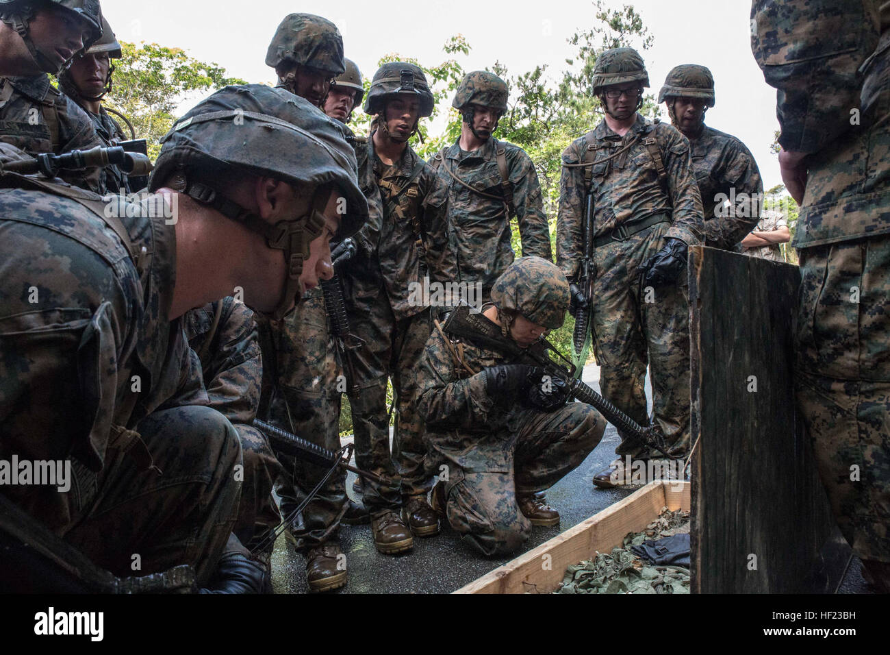 Marines memorize items contained in a box as part of a 'Kim's game' during an endurance course April 17 at the Jungle Warfare Training Center on Camp Gonsalves. The Marines look at the items early in the course and then have to tell the instructors what items were in the box just before the last leg of the event. The simple game tests the participant's mental capacity while enduring stressful and fatiguing activity. The Marines are with various units assigned to Combat Assault Battalion, 3rd Marine Division, III Marine Expeditionary Force. (U.S. Marine Corps photo by Cpl. Stephen D. Himes/Rele Stock Photo