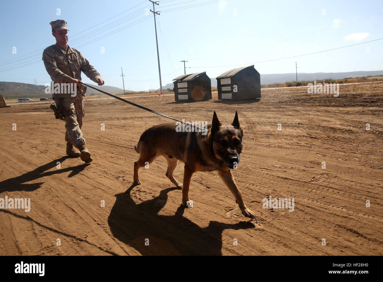 Lance Cpl. James Story, a military working dog handler with 1st Law Enforcement Battalion, I Marine Expeditionary Force, walks with his dog Denny during the 2014 I Marine Expeditionary Brigade command post exercise aboard Camp Pendleton, Calif., June 19, 2014. Story and Denny provided security at the front gate of the camp during the exercise. (U.S. Marine Corps photo by Lance Cpl. David Silvano/released) BHG ensures mission accomplishment for CPX3 140619-M-vz999-116 Stock Photo