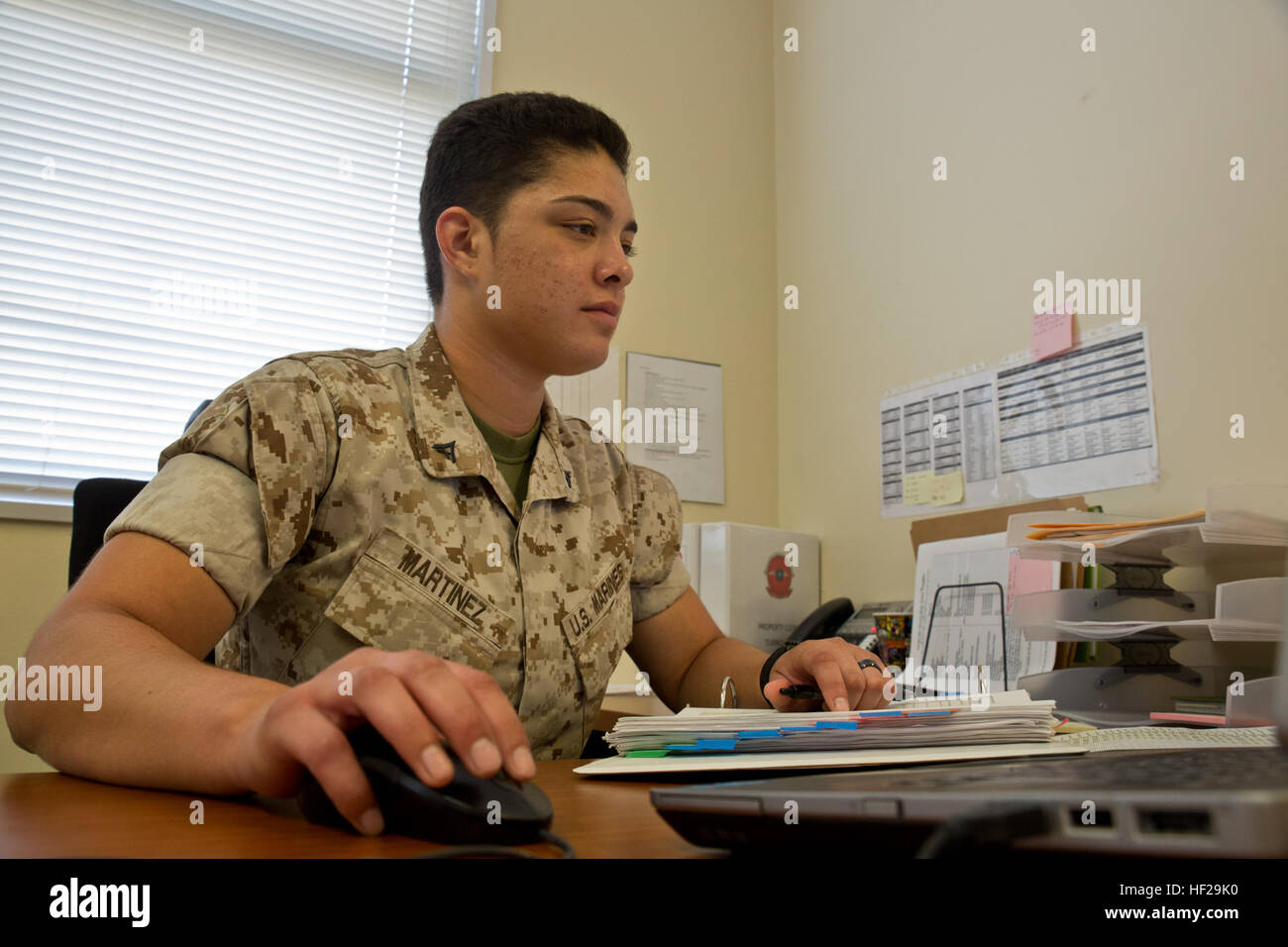 Lance Cpl. Viviana R. Martinez, a Yuba City, California, native, works at her desk July 3 at Camp Foster, Okinawa, Japan. Martinez was recently selected to participate in the Ground Combat Element Integrated Task Force, a battalion comprised of 500 Marines, a fourth of them being females, for a yearlong volunteer program designed to evaluate female Marines under combat arms predeployment conditions. The program will assess how women integrate into combat arms  military occupational specialties. Martinez is slated to report to the School of Infantry-East to begin training July 22 at Camp Lejeun Stock Photo