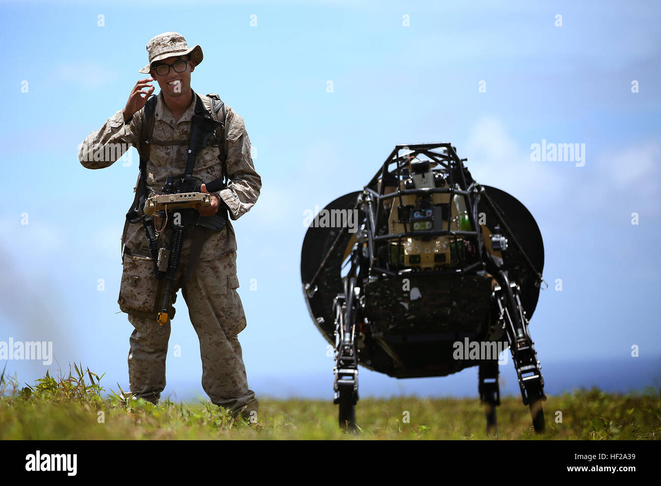 Lance Cpl. Brandon Dieckmann, infantryman with India Company, 3rd Battalion, 3rd Marine Regiment, and native of Las Vegas, leads the Legged Squad Support System through a grassy area at Kahuku Training Area, July 12, 2014, during the Rim of the Pacific 2014 exercise. The LS3 is experimental technology being tested by the Marine Corps Warfighting Lab during the Advanced Warfighting Experiment. It is programmed to follow an operator through terrain, carrying heavy loads like water and food to Marines training. There are multiple technologies being tested during RIMPAC, the largest maritime exerc Stock Photo