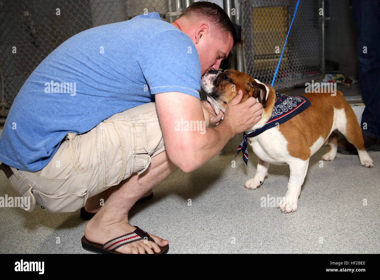 Staff Sgt. Chad Hall is greeted by his newly adopted family member, English  Bulldog Pinkerton at the Camp Pendleton Animal Shelter during the annual  adoption event July 26. In addition to pet