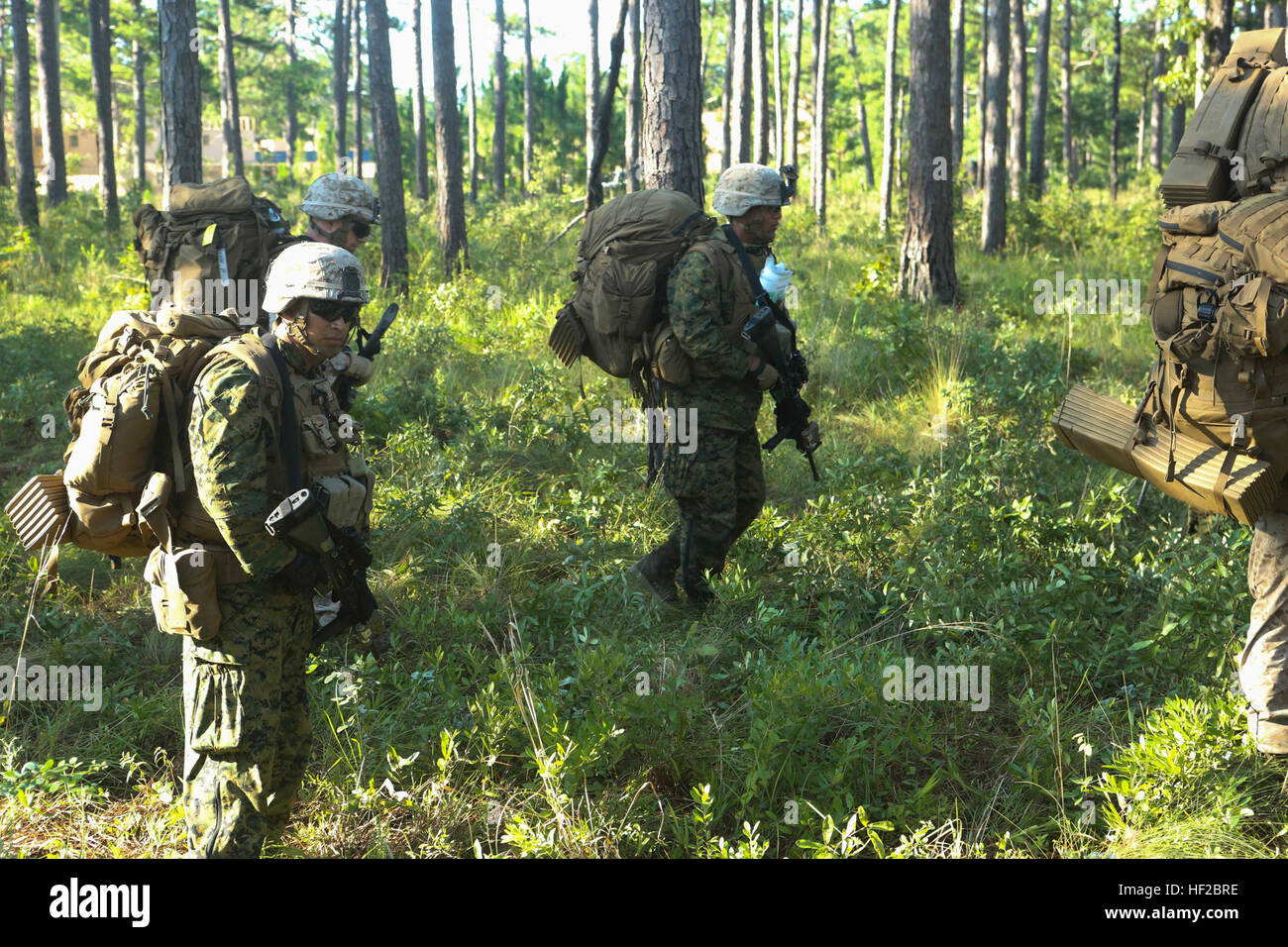 6th marine regiment combat hi-res stock photography and images - Alamy