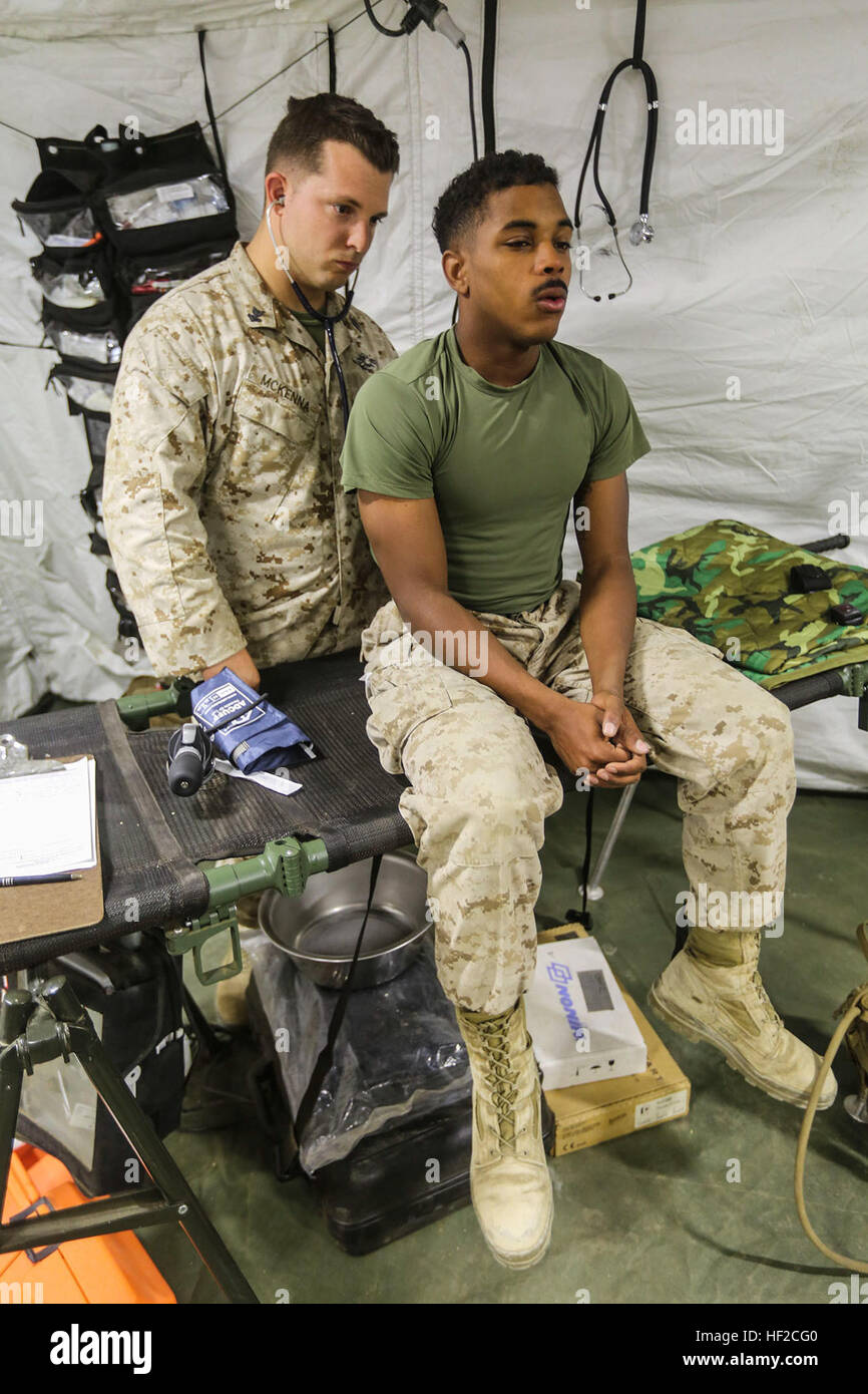 Petty Officer 2nd Class Brian McKenna, a hospital corpsman with Brigade Headquarters Group, 1st Marine Expeditionary Brigade, listens to a patient's breathing in a medical tent at Marine Corps Air Ground Combat Center Twentynine Palms, Calif., Aug. 5, 2014. McKenna, from Sacramento, Calif., is the assistant lead petty officer for BHG during Large Scale Exercise 2014. LSE-14 is a bilateral training exercise being conducted by 1st MEB to build U.S. and Canadian forces' joint capabilities through live, simulated, and constructive military training activities. (U.S. Marine Corps photo by Lance Cpl Stock Photo