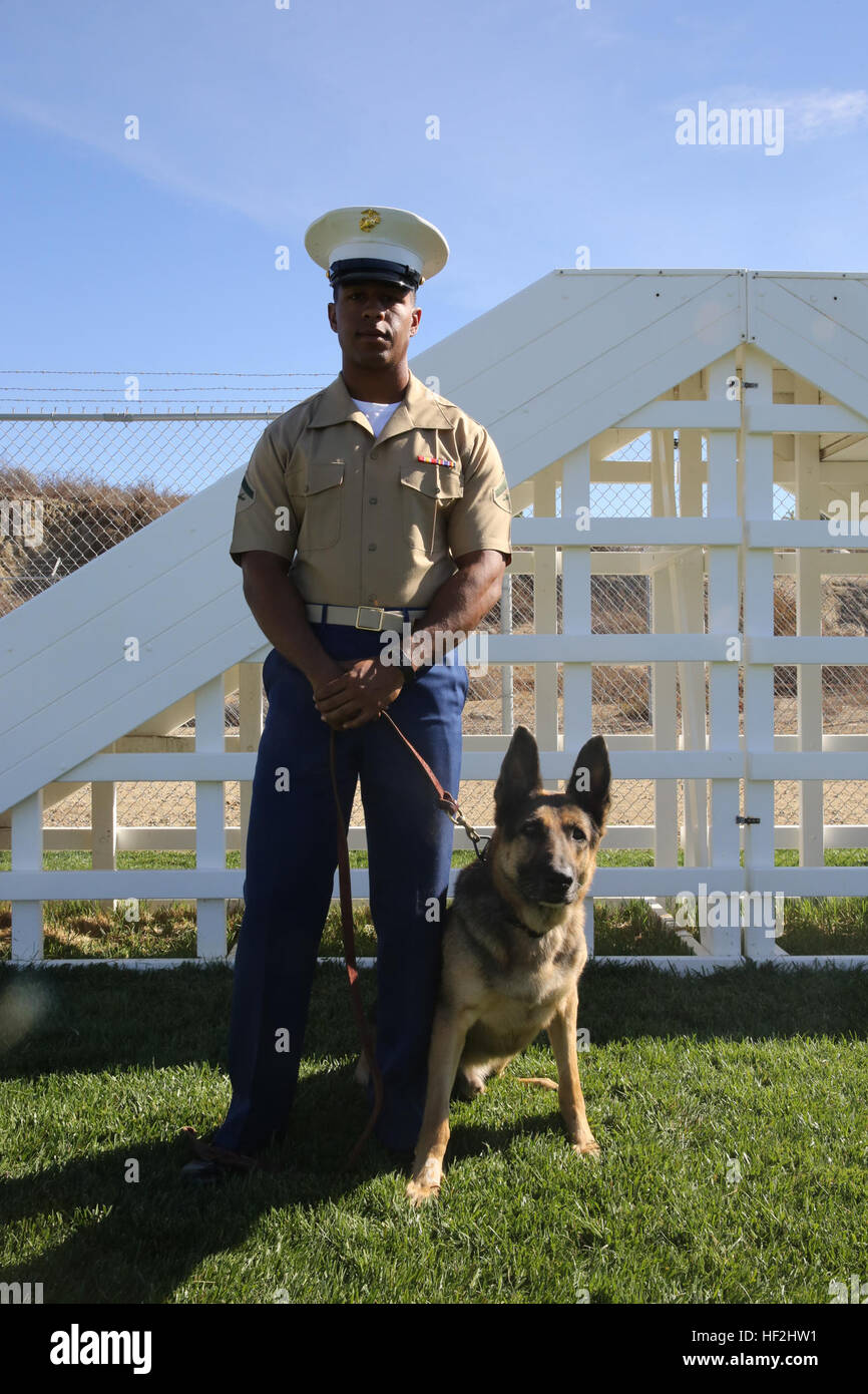 Bronx, N.Y., native Lance Cpl. Rafael Fuertelunn, a combat tracker, and his partner Rocky, both with Military Working Dog Platoon, Headquarters and Service Company, 1st Law Enforcement Battalion, based out of Marine Corps Base Camp Pendleton, Calif., are scheduled to participate in a civil-military canine capabilities demonstration during San Francisco Fleet Week 2014, from Oct. 6 to 12. The event focuses on interoperability training between civil and military agencies to improve cooperation and coordination, as well as increase readiness through a range of humanitarian assistance operations.  Stock Photo
