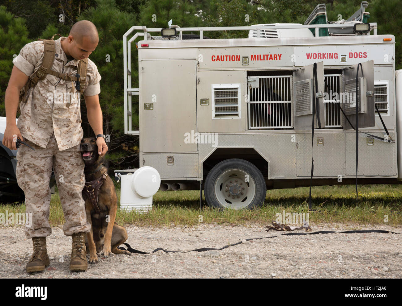 Cpl. Josue Robles, a tracking trainer with Military Working Dog Platoon, 2nd Law Enforcement Battalion, II Marine Expeditionary Force Headquarters Group, and an Elizabeth, N.J., native, pets his dog Lex aboard Marine Corps Base Camp Lejeune, N.C., Oct. 9, 2014. Robles was a part of a seven-man, five-dog team conducting bite, tracker and patrol training, enhancing the canine’s ability to sniff out and listen for targets. (U.S. Marine Corps photo by Lance Cpl. Lucas J. Hopkins/Released) Unleashed, Military Working Dogs, handlers build relationship 141009-M-TR086-221 Stock Photo