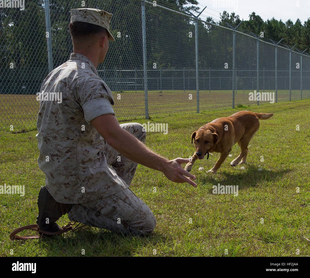 Sgt. Kent Ferrell, a specialized search dog handler with Military