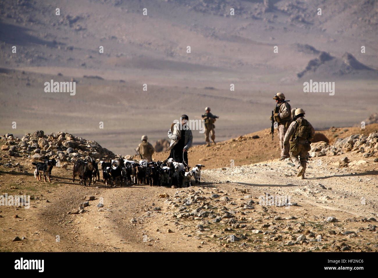 090313-M-1876J-009.jpg GOLESTAN, Islamic Republic of Afghanistan – An Afghan boy walks his herd of goats along a road that Marines sweep for improvised explosive devices in Golestan, Farah Province, Islamic Republic of Afghanistan, March 12, 2009.  The Marines with the second platoon of Company K, 3rd Battalion, 8th Marine Regiment (Reinforced), the ground combat element of Special Purpose Marine Air Ground Task Force – Afghanistan, serve in Golestan to conduct counterinsurgency operations, with a focus on training and mentoring the Afghan National Police. The Marines routinely sweep the roadw Stock Photo