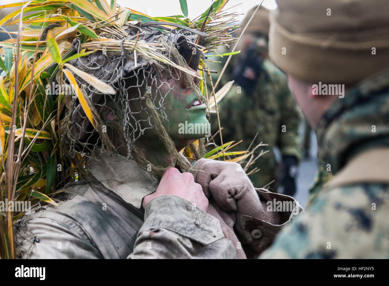 U.S. Marine Lance Cpl. Jonas G. Dewald works with a fellow Marine to don his ghillie suit Dec. 2 in the Oyanohara Training Area in Yamato, Kumamoto prefecture, Japan. The concealment training is part of Forest Light 15-1, a semi-annual, bilateral exercise consisting of a command post exercise and field training events conducted by elements of III Marine Expeditionary Force and the Japan Ground Self-Defense Force to enhance the U.S. and Japan military partnership, solidify regional security agreements and improve individual and unit-level skills. Dewald, from Wilson, North Carolina, is a machin Stock Photo