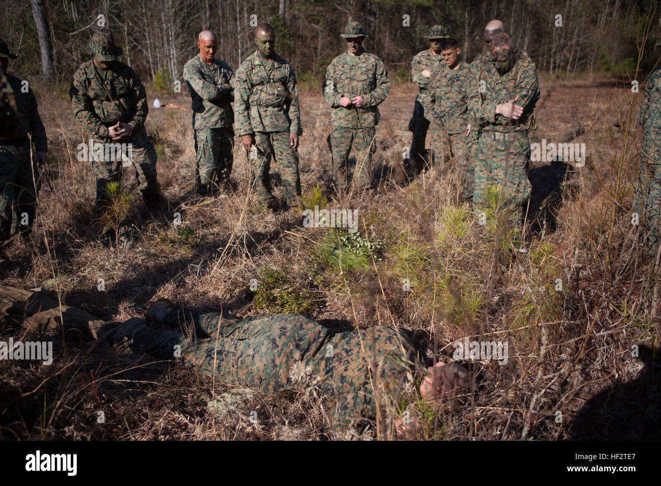 U.S. Marines with the School of Infantry-East receive a class on camouflage before executing an 800m stalk on Camp Lejeune, NC, Jan. 21, 2015. Officers and Staff NCOs underwent training normally taught to snipers that required each Marine to advance 800 meters, set up, and identify a target all while remaining undetected. (U.S. Marine Corps photo by SOI-East Combat Camera, Lance Cpl. Andrew Kuppers/ Released) School of Infantry Officers and Staff NCOs undergo Scout Sniper Training 150121-M-NT768-016 Stock Photo