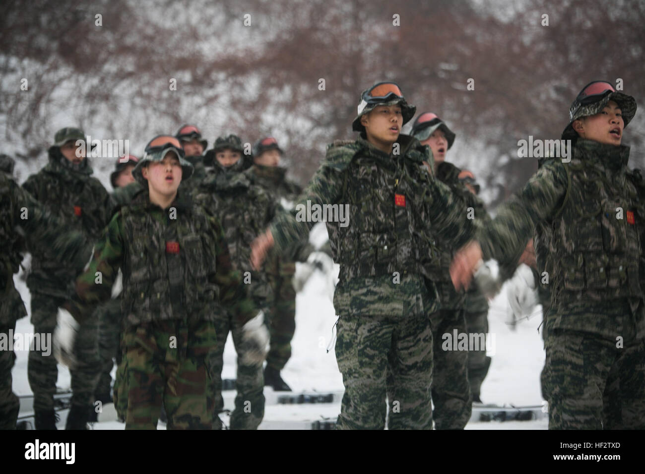 Republic of Korea Marines warm up for snow mobility training during Korean Marine Exchange Program 15-3  Jan. 26 in Pyeongchang, Republic of Korea. The Marines were learning to ski for snow mobility training as part of mountain warfare training. Training included stopping, turning, proper falling techniques and how to quickly climb back up slopes with skis on. The ROK Marines are force reconnaissance men with Alpha Company, 2nd Battalion, 2nd Marine Division. (U.S. Marine Corps photo by Cpl. Tyler S. Giguere/Released) Snow skiing mobility training for Marines 150126-M-RZ020-015 Stock Photo