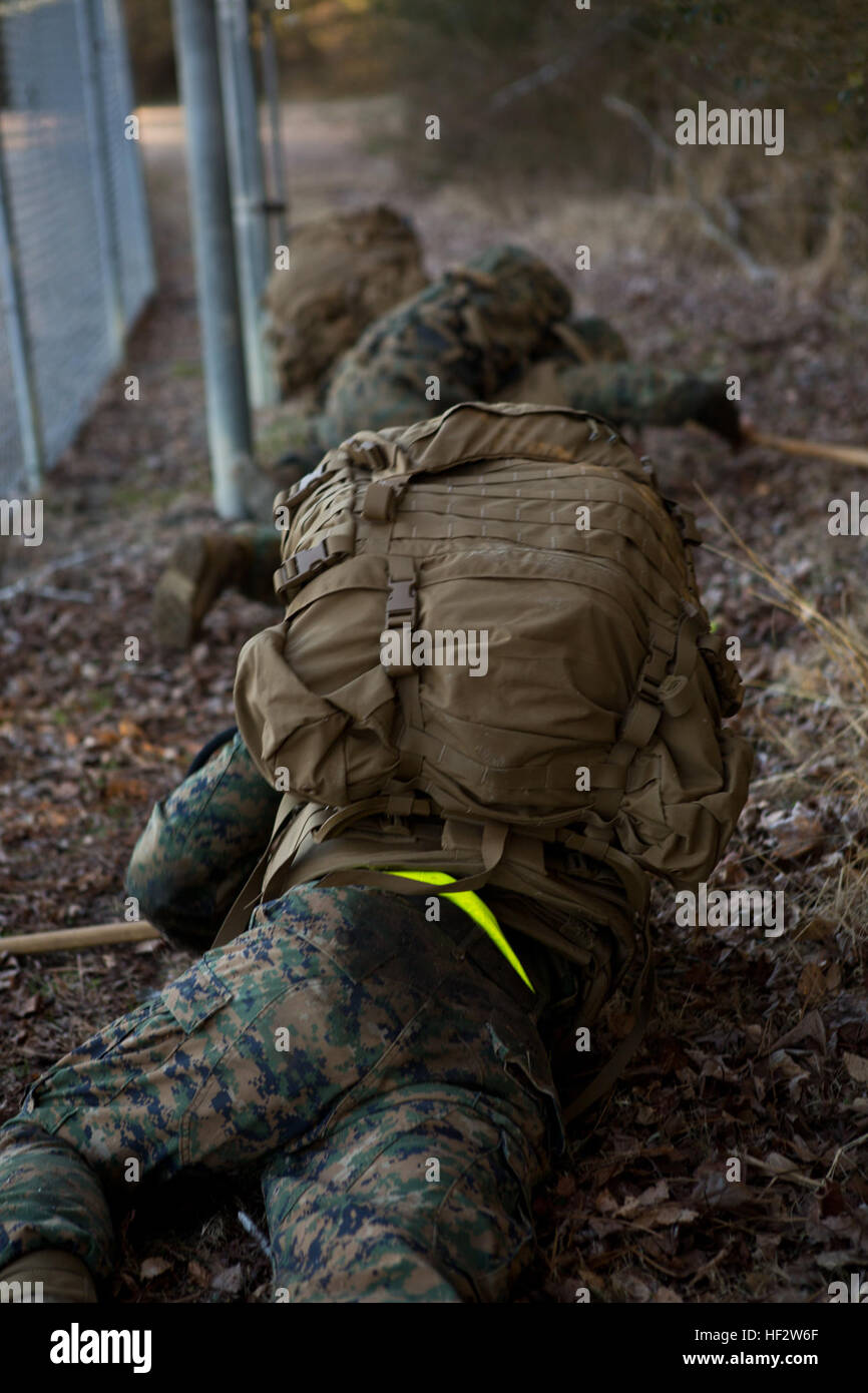Marines from the 2nd Marine Aircraft Wing perform low crawl exercises ...