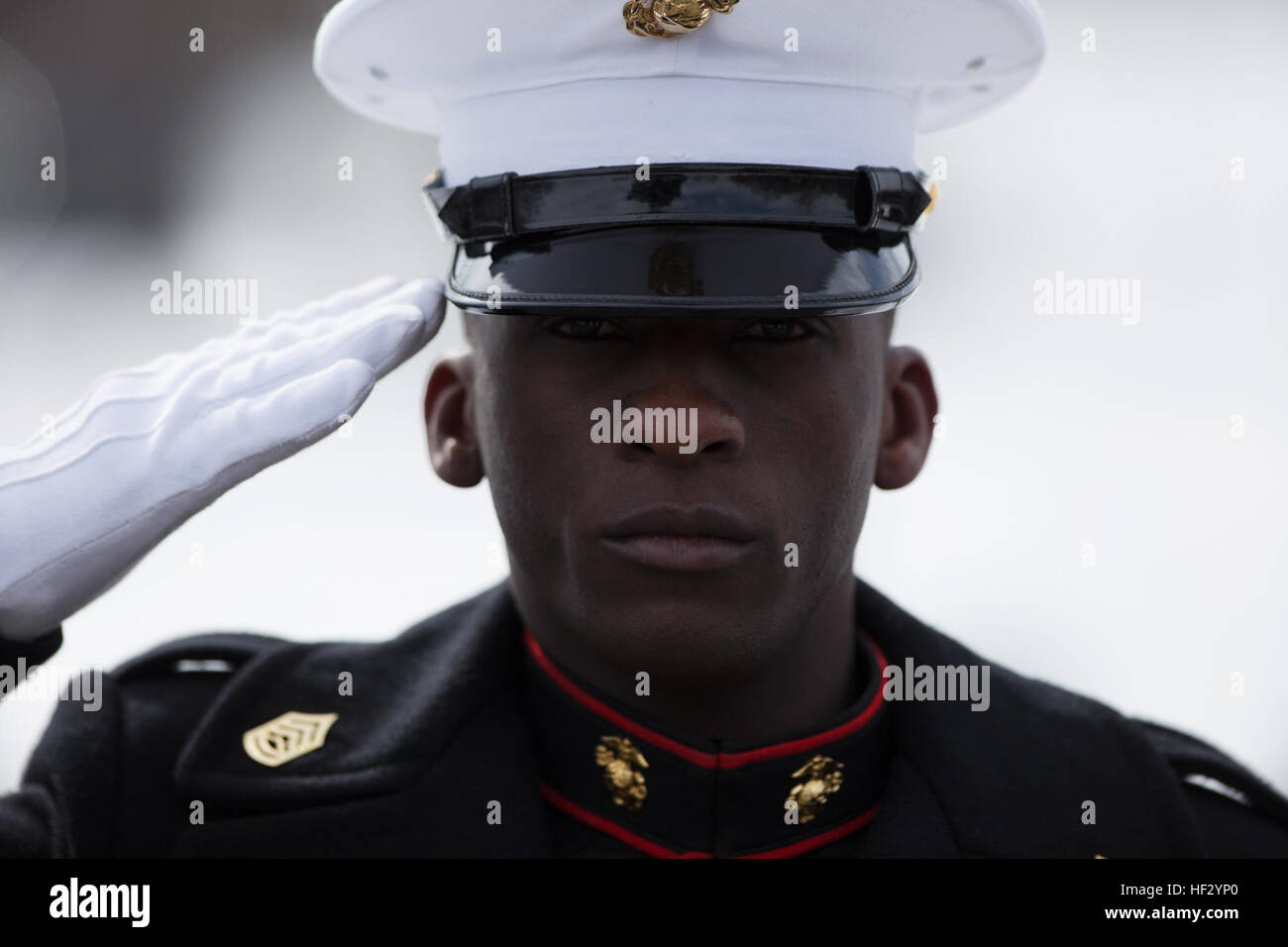 A Marine salutes the American flag during a wreath laying ceremony at the Marine Corps War Memorial in Washington. The ceremony commemorated the 70th anniversary of the battle for Iwo Jima. With most of the surviving veterans in their 80’s and 90’s, surviving Marines visited the memorial in remembrance of their brothers in arms.  (U.S. Marine Corps photo by Cpl. Clayton Filiopwicz/Released) WWII Marine Veterans Remember Iwo Jima with Wreath Laying Ceremony 150219-M-LX723-002 Stock Photo