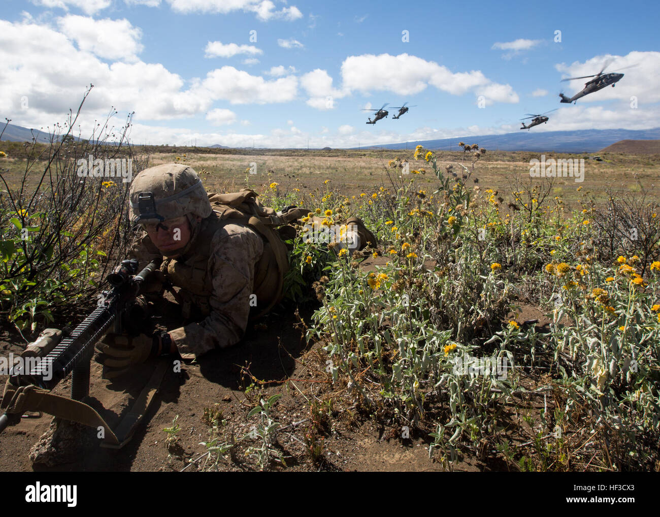 Marines of A Company, 1st Battalion, 3rd Marine Regiment, secure UH-60 ...