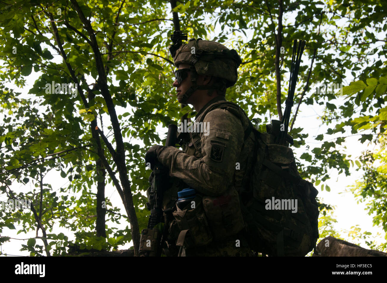 172nd infantry regiment mountain hi-res stock photography and images ...