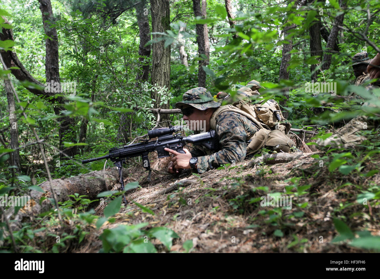 A U.S. Marine with 1st Platoon, Fox Company, 2nd Battalion, 24th Marines, 23rd Marine Regiment, 4th Marine Division (MARDIV), Marine Forces Reserve posts security during a patrol during the Military Operations in Urban Terrain (MOUT) and patrolling portion of Korean Marine Exchange Program 15-8 in Pohang, South Korea as a part of Peninsula Express 15, July 3rd, 2015. Peninsula Express is one in a series of regularly-scheduled combined, small-unit, tactical training exercises that demonstrates continued dedication to the ROK-U.S. relationship, contributing to the security and stability of the K Stock Photo