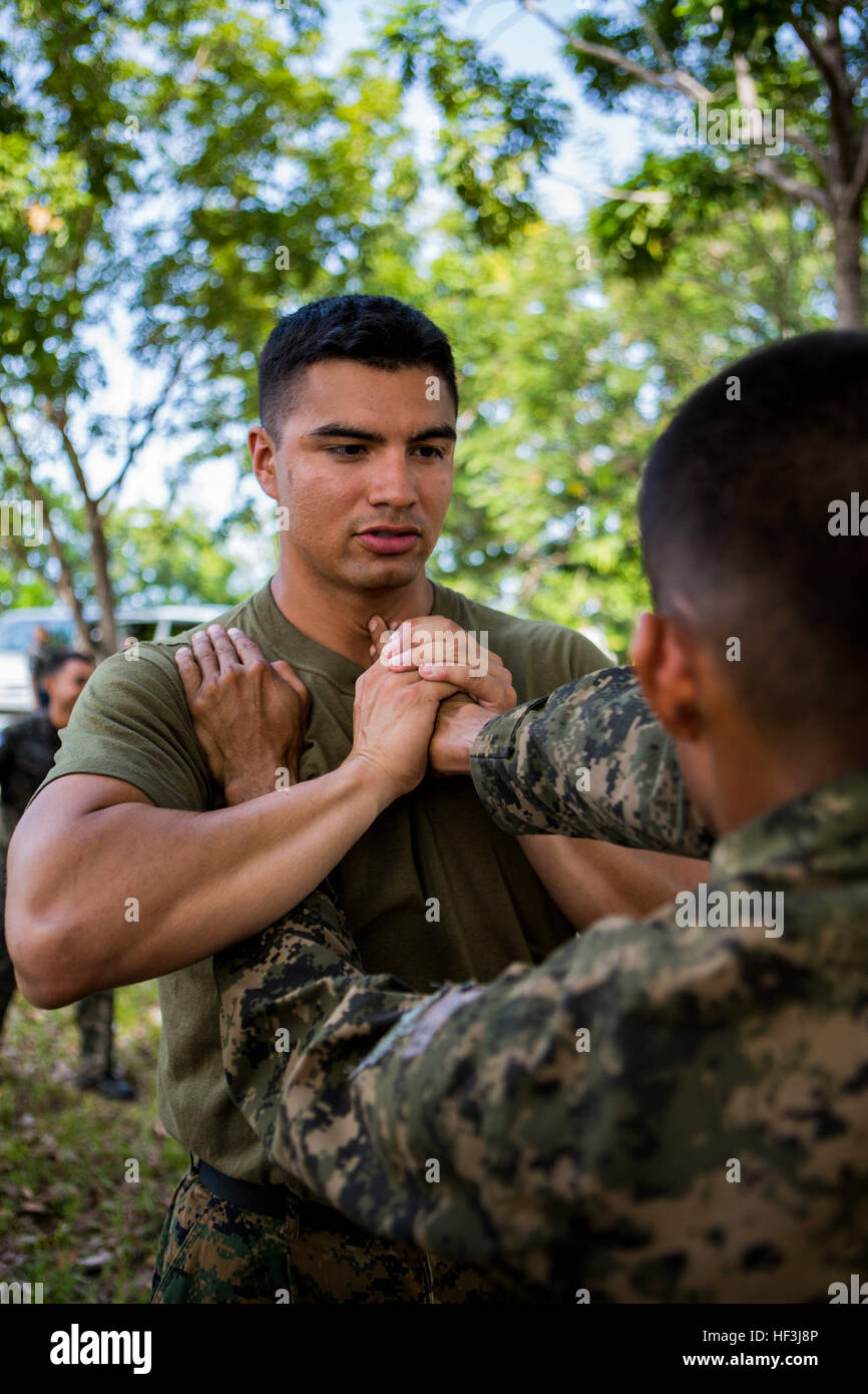 U.S. Marine Corps Capt. Juan Diaz, the officer in charge of Security Cooperation Team-Honduras, Special Purpose Marine Air-Ground Task Force-Southern Command shows a Honduran marine the proper wrist lock technique during Honduran martial arts training at Naval Base Puerto Castilla, Honduras, Aug. 12, 2015. SCT-Honduras is currently deployed as part of the SPMAGTF-SC to assist the Centro de Adiestramiento Naval with implementing a training curriculum to create a Honduran marine Program. (U.S. Marine Corps Photo by Cpl. Katelyn Hunter/Released) US Marines share training with Hondurans 150812-M-C Stock Photo