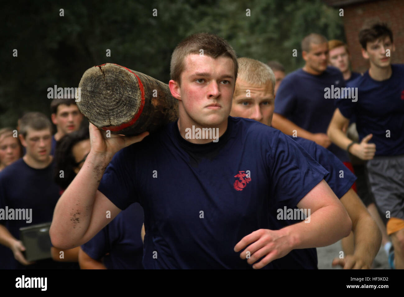 Walt Baker, a member of the Marine Corps’ Delayed Entry Program, carries a 10-foot log during a three-mile logistics hike at the Salisbury Zoo in Salisbury, Md., Sept. 12, 2015. Approximately 30 Marine Corps recruits, also known as poolees, participated in the hike, which was designed to physically challenge them and build camaraderie prior to attending recruit training at Marine Corps Recruit Depot Parris Island, South Carolina later this year. (U.S. Marine Corps photo by Sgt. Bryan Nygaard/Released) Marine recruits learn teamwork during grueling hike 150912-M-PH073-100 Stock Photo