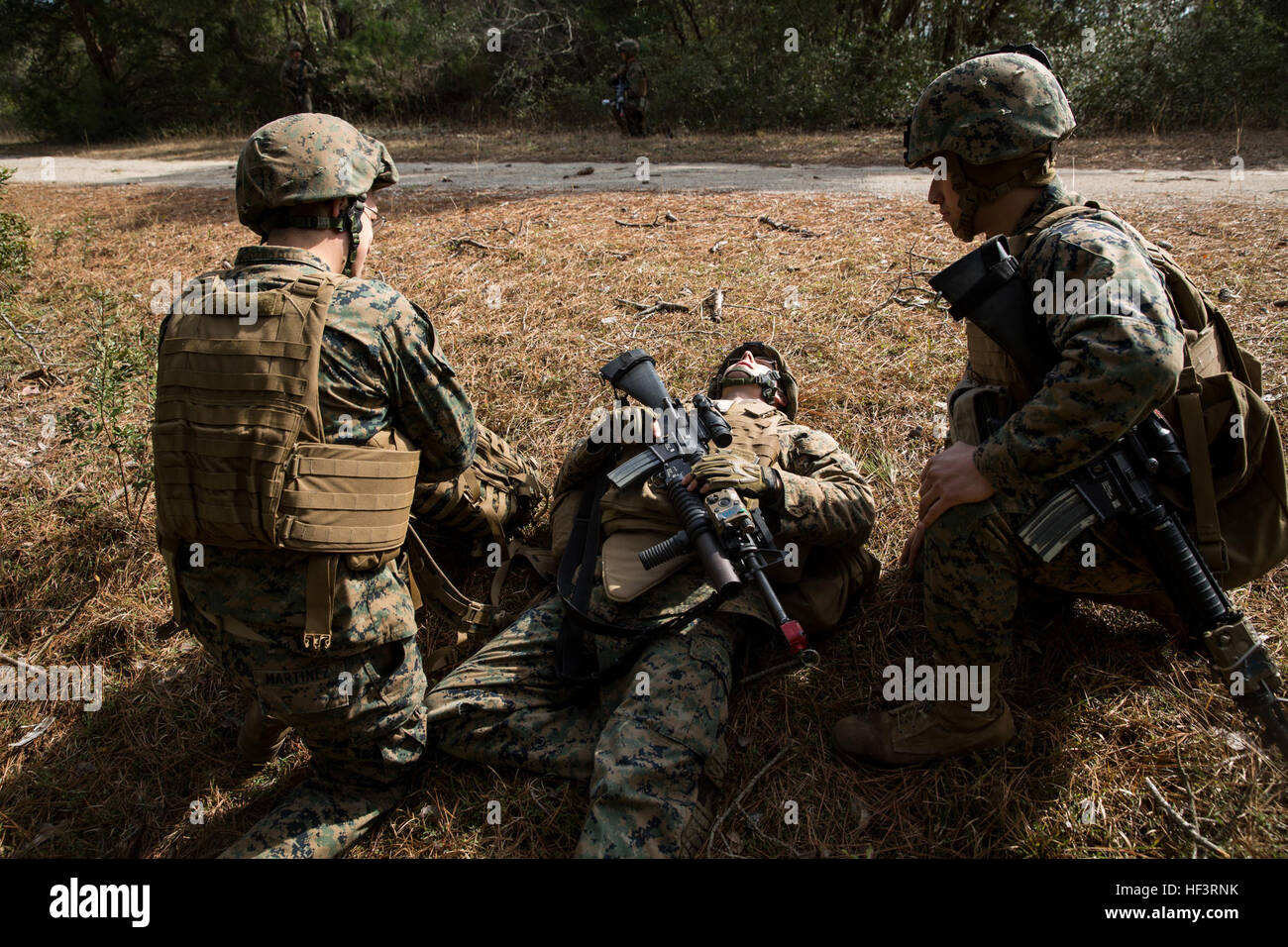 U.S. Marines assigned to 2d Low Altitude Air Defense Battalion (2D LAAD), Marine Medium Tiltrotor Squadron 264 (reinforced), conduct improvised explosive device training on Marine Corps Outlying Field Atlantic, N.C., Feb. 15, 2016. 2D LAAD conducted the training in preparation for deployment with the 22nd Marine Expeditionary Unit. (U.S. Marine Corps photo by Cpl. Jodson B. Graves/Released) 2D LAAD Pre-Deployment Training 160217-M-SW506-184 Stock Photo