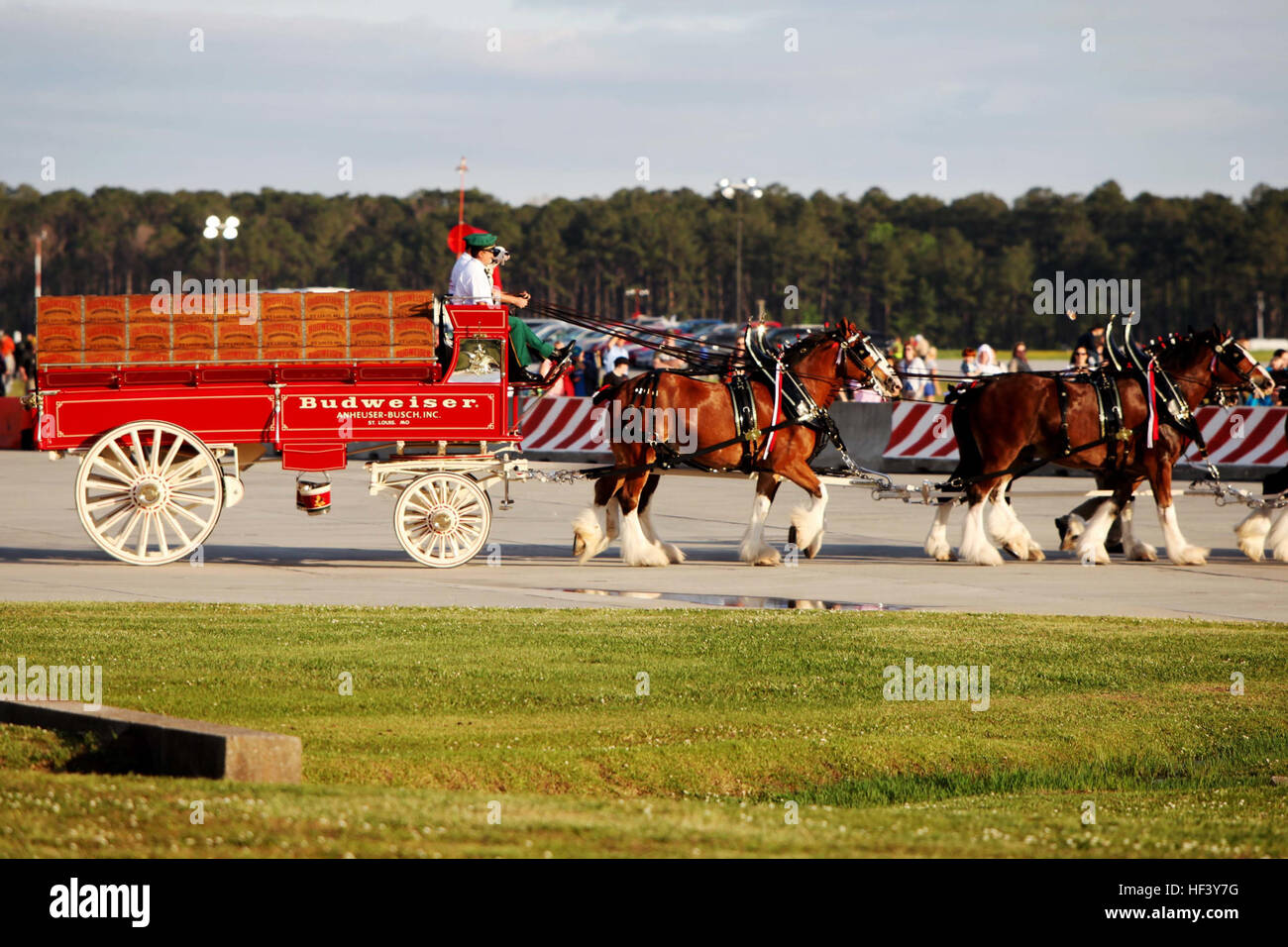 Budweiser clydesdale horses hires stock photography and images Alamy