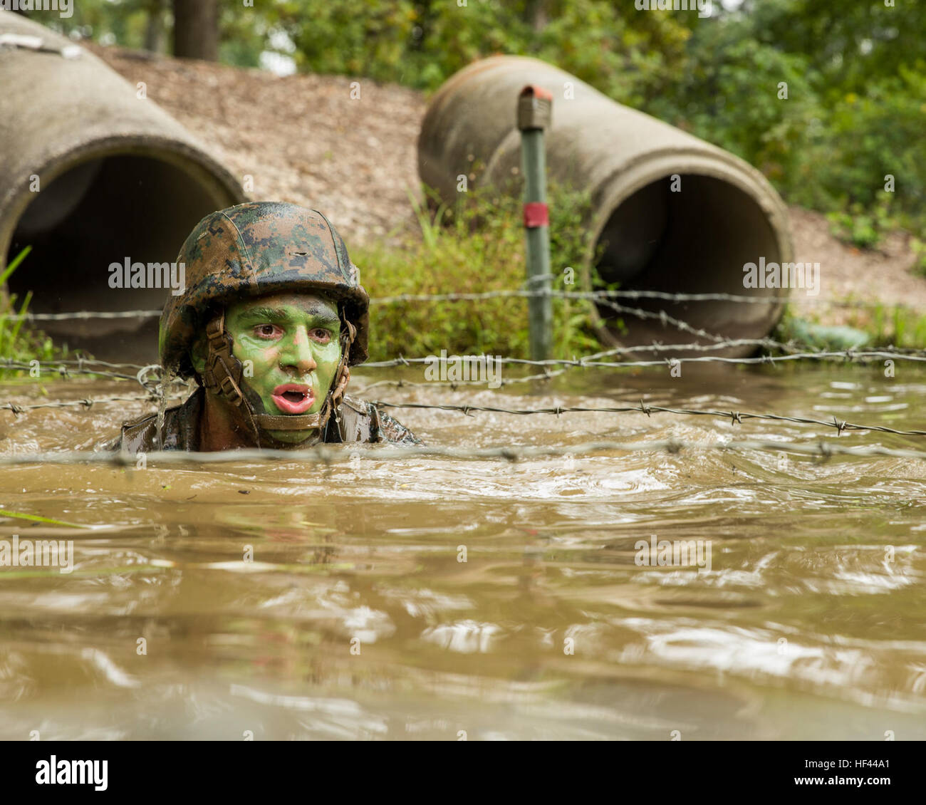 United states marine corps officer candidate school hires stock
