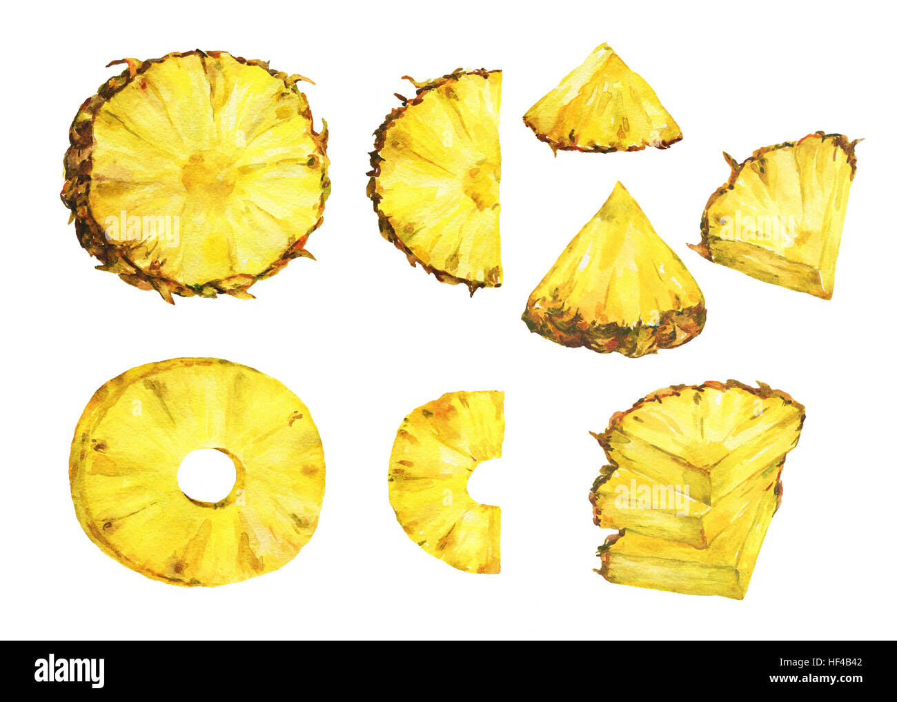 Arrangement Of The Slices Of Fresh Pineapple Hand Drawn Watercolor Painting On White Background Stock Photo Alamy