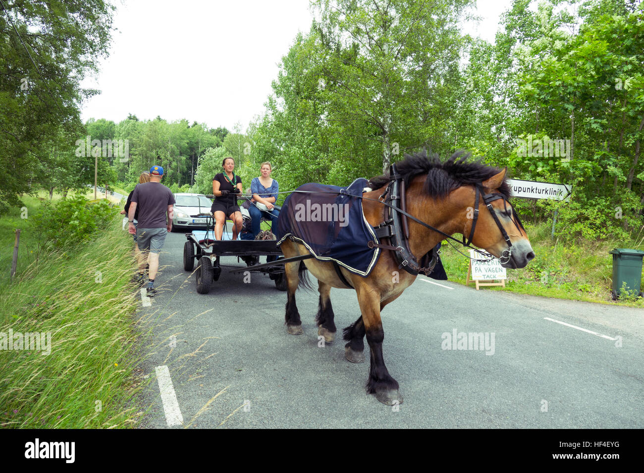 Horse drawn carriage Stock Photo Alamy