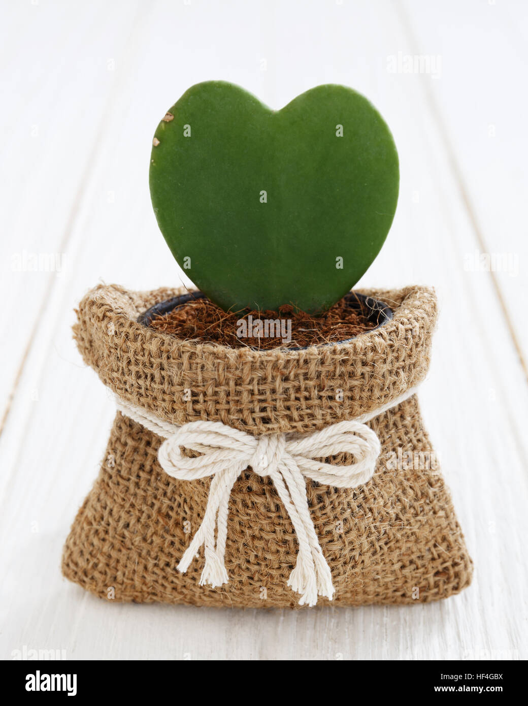 jute rope bolsa