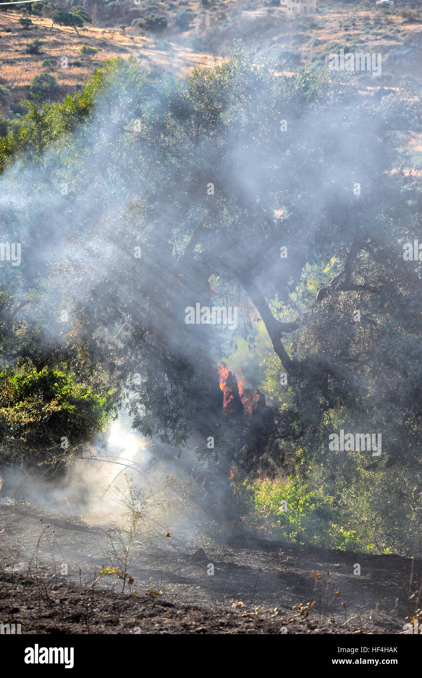 Zakynthos in fire hires stock photography and images Alamy