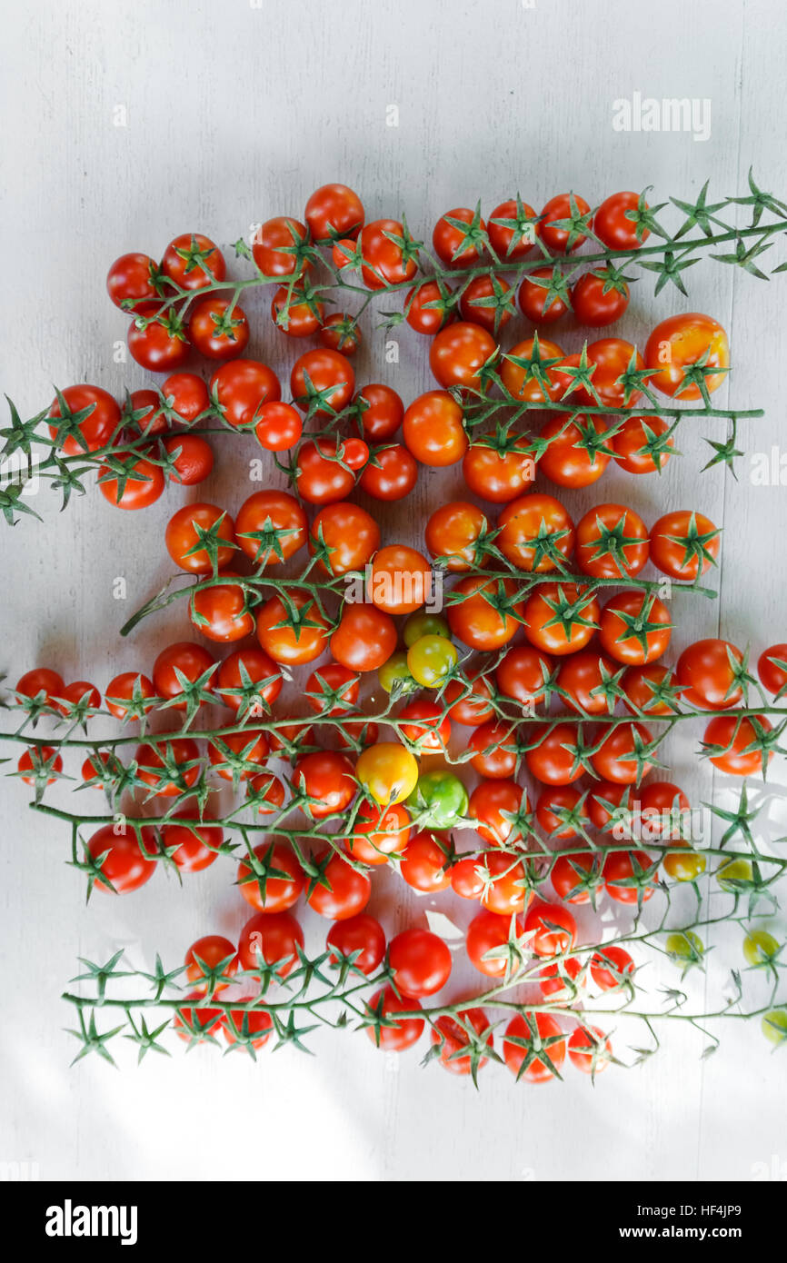 Juicy organic Cherry tomatoes isolated over white background Stock ...