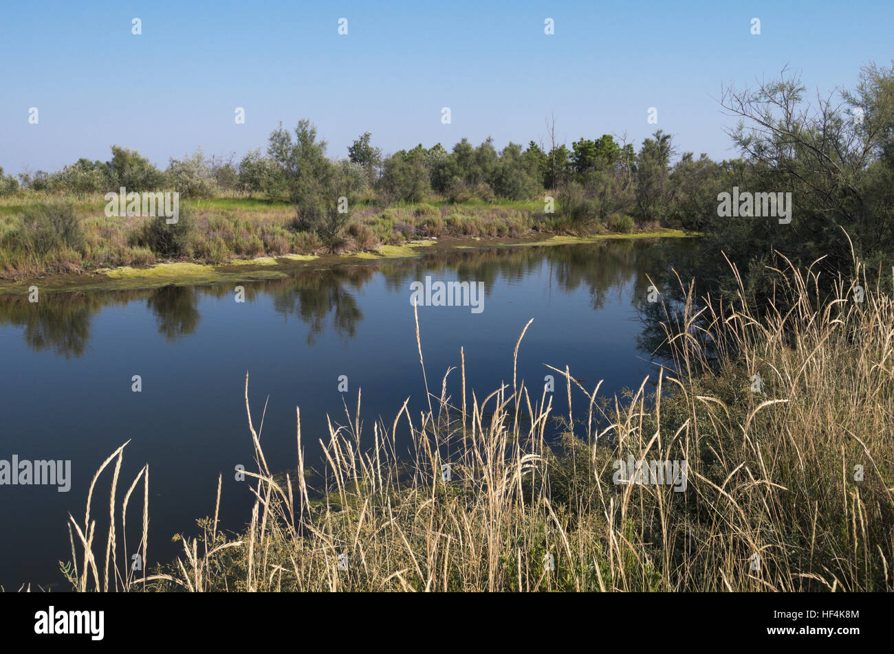 Po river delta natural park, Rovigo province, Veneto, italy Stock Photo