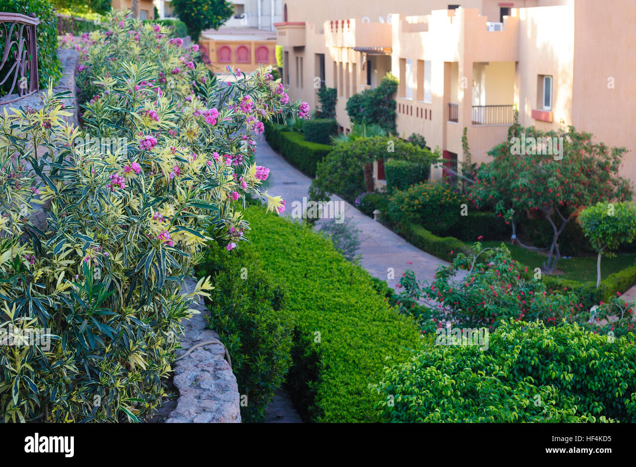 buildings with green shrubs and flowerbeds Stock Photo