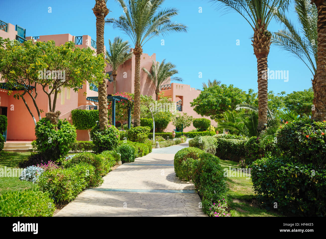walkway in the summer park with Palm trees Stock Photo - Alamy
