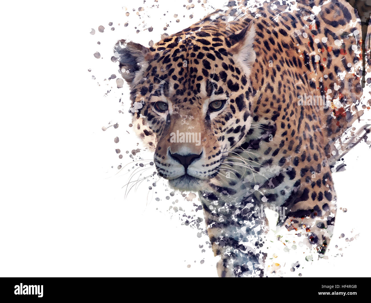 Digital Painting of Leopard Portrait Stock Photo - Alamy