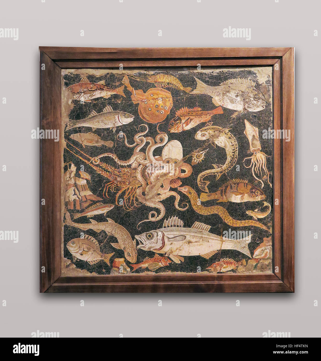 Fish catalogue mosaic National Archaeological Museum Naples Italy Stock Photo