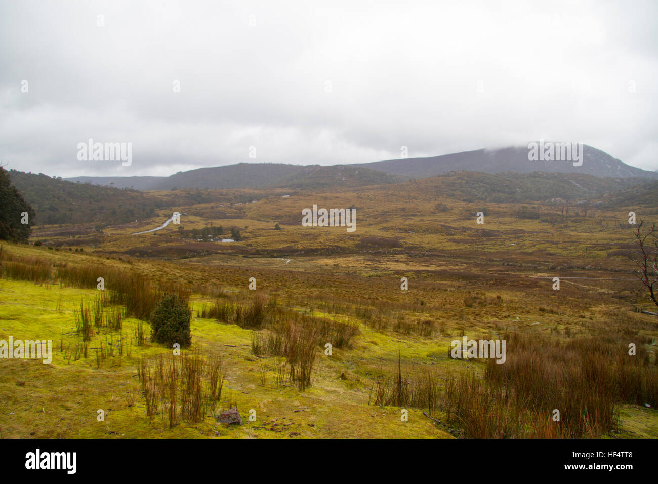 Cradle Mountain National Park, Tasmania, Australia Stock Photo Alamy