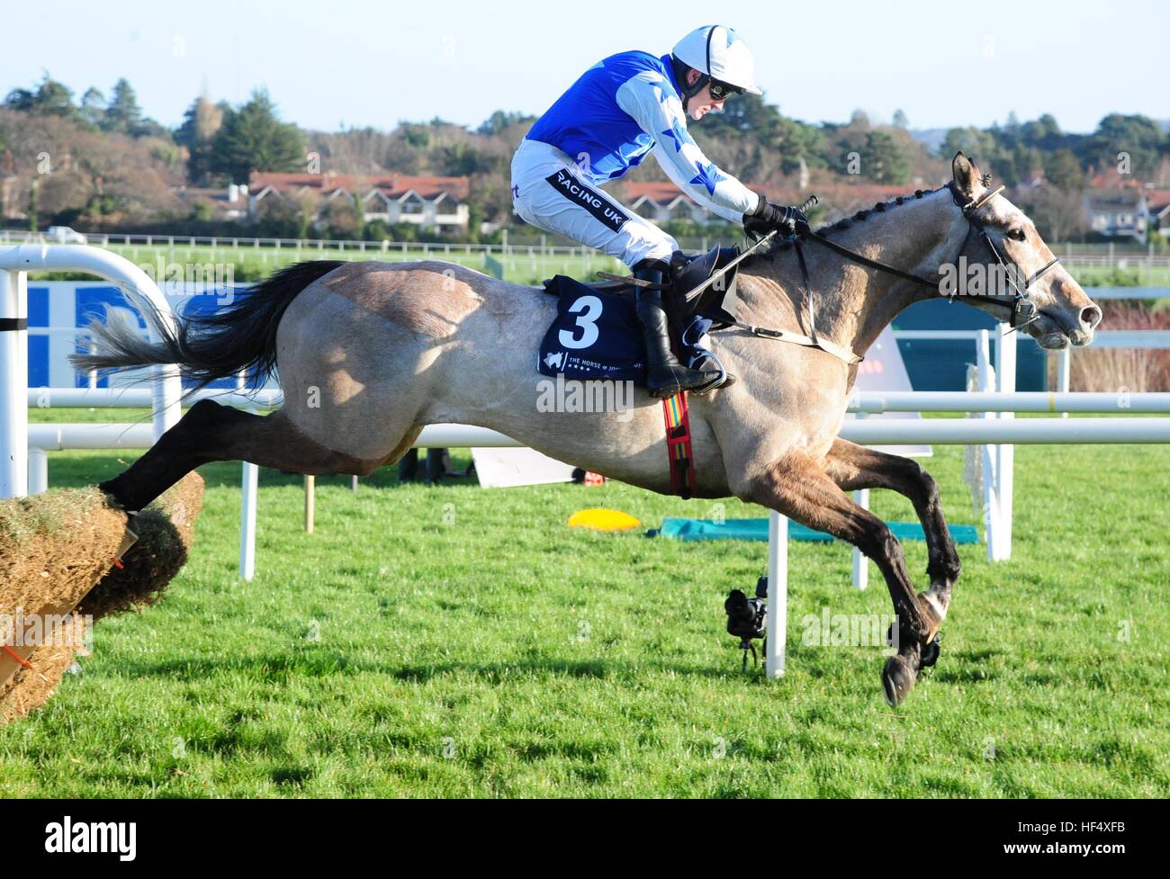 Bunk Off Early and jockey Ruby Walsh win the Horse & Jockey Hotel Maiden Hurdle during day one of the Christmas Festival at Leopardstown Racecourse. Stock Photo
